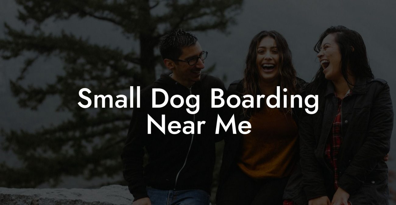 Small Dog Boarding Near Me