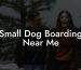 Small Dog Boarding Near Me