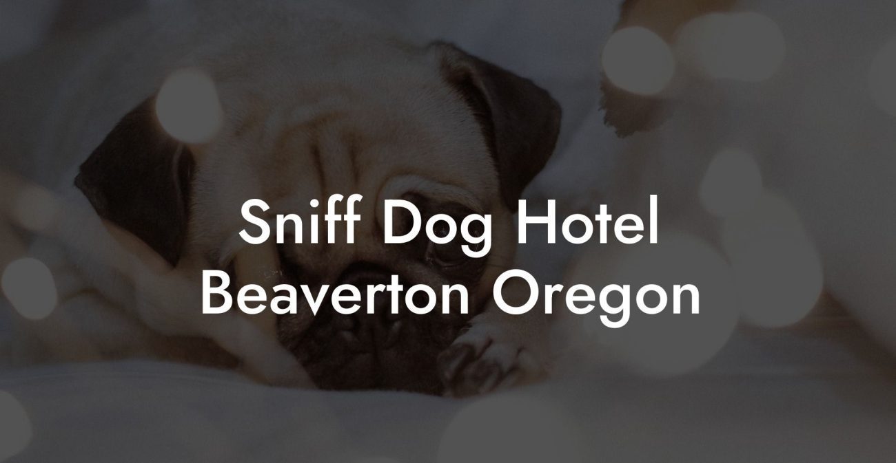 Sniff Dog Hotel Beaverton Oregon