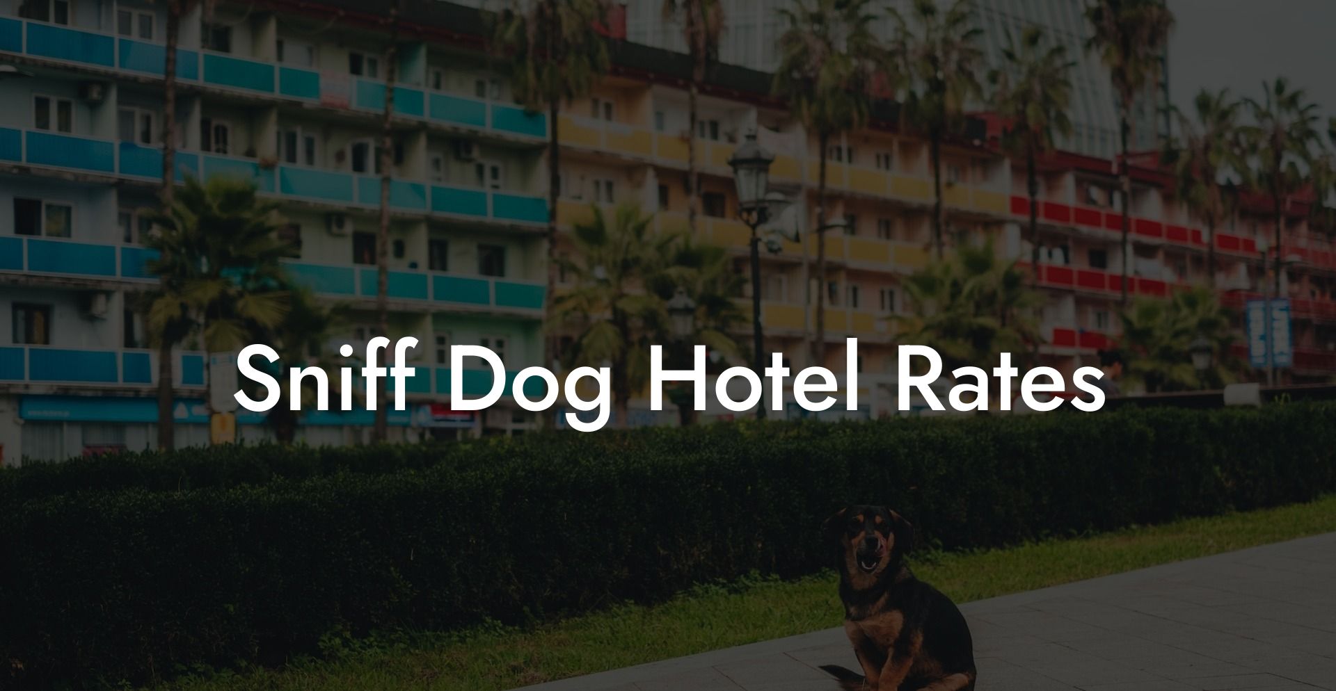 Sniff Dog Hotel Rates