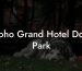 Soho Grand Hotel Dog Park