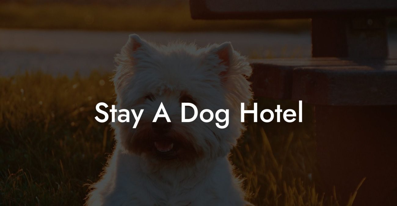 Stay A Dog Hotel