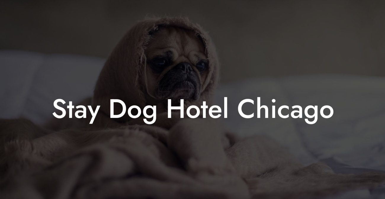 Stay Dog Hotel Chicago