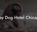 Stay Dog Hotel Chicago