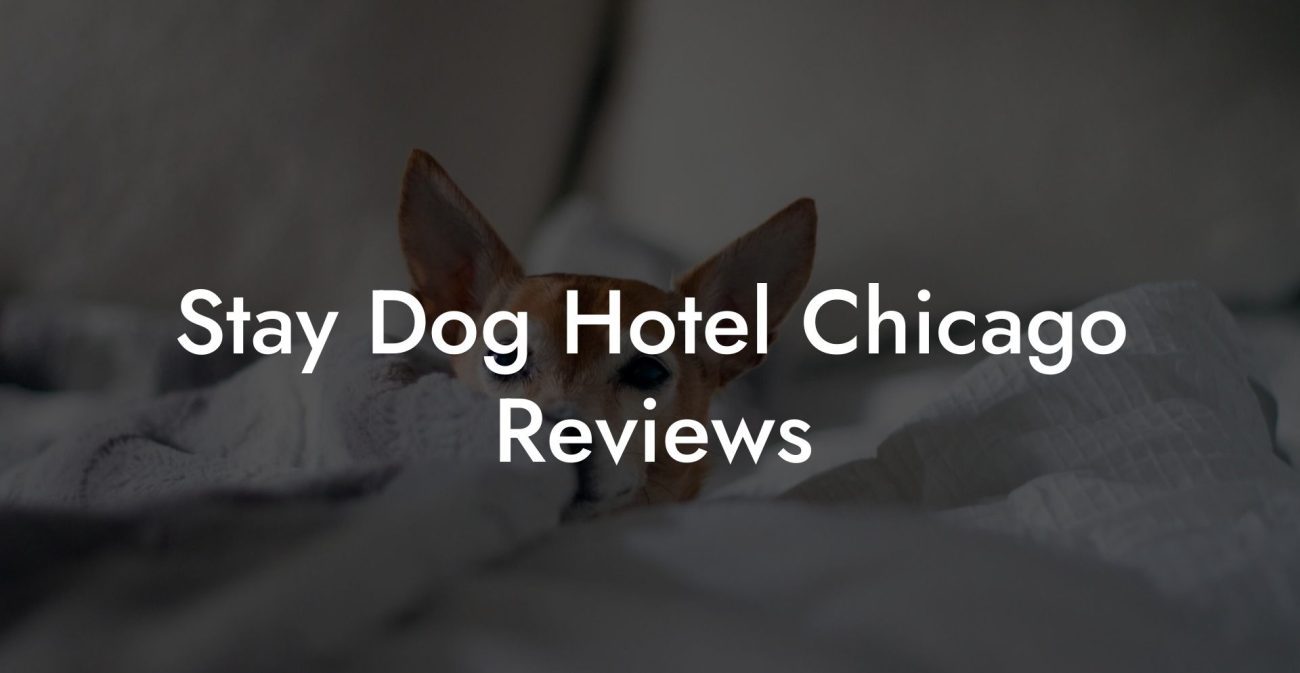 Stay Dog Hotel Chicago Reviews