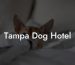 Tampa Dog Hotel