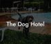 The Dog Hotel