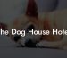 The Dog House Hotel