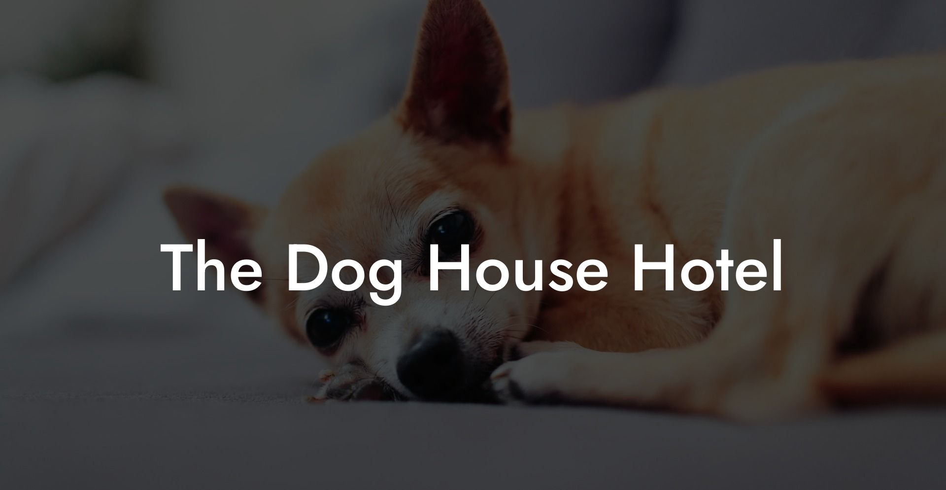 The Dog House Hotel