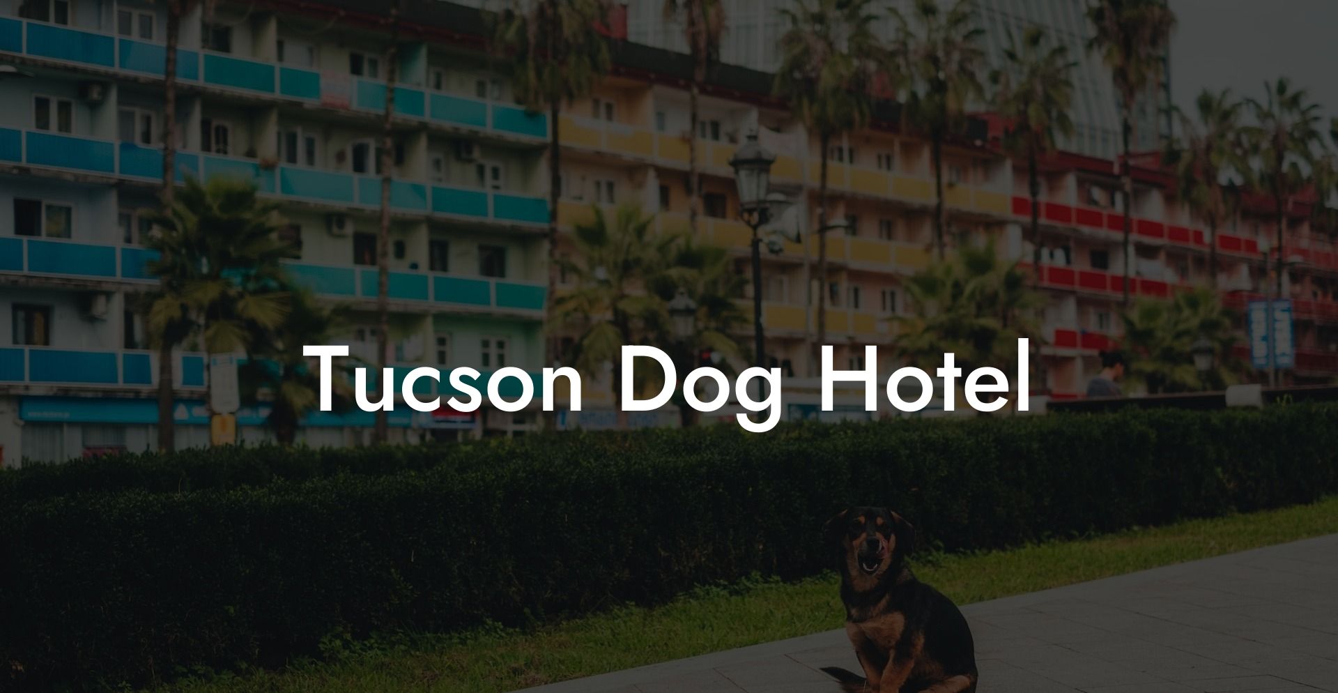 Tucson Dog Hotel
