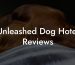 Unleashed Dog Hotel Reviews