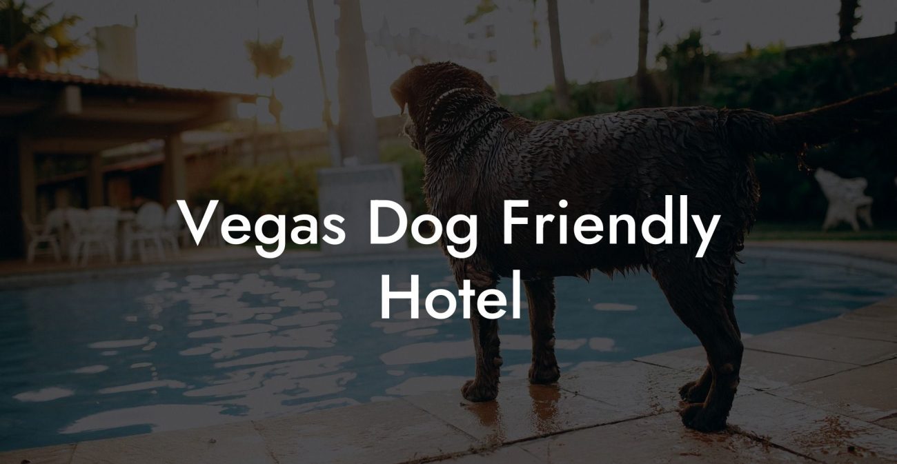 Vegas Dog Friendly Hotel