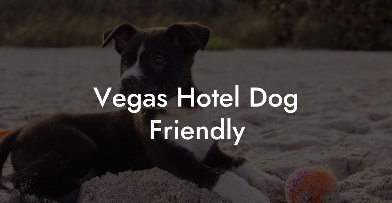 Vegas Hotel Dog Friendly