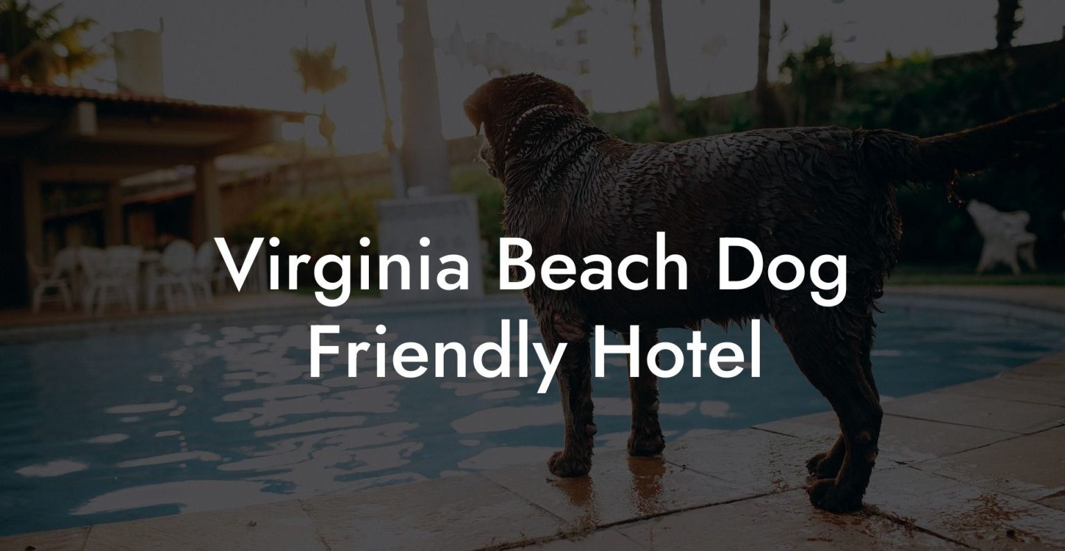 Virginia Beach Dog Friendly Hotel Dog Hotels