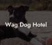 Wag Dog Hotel