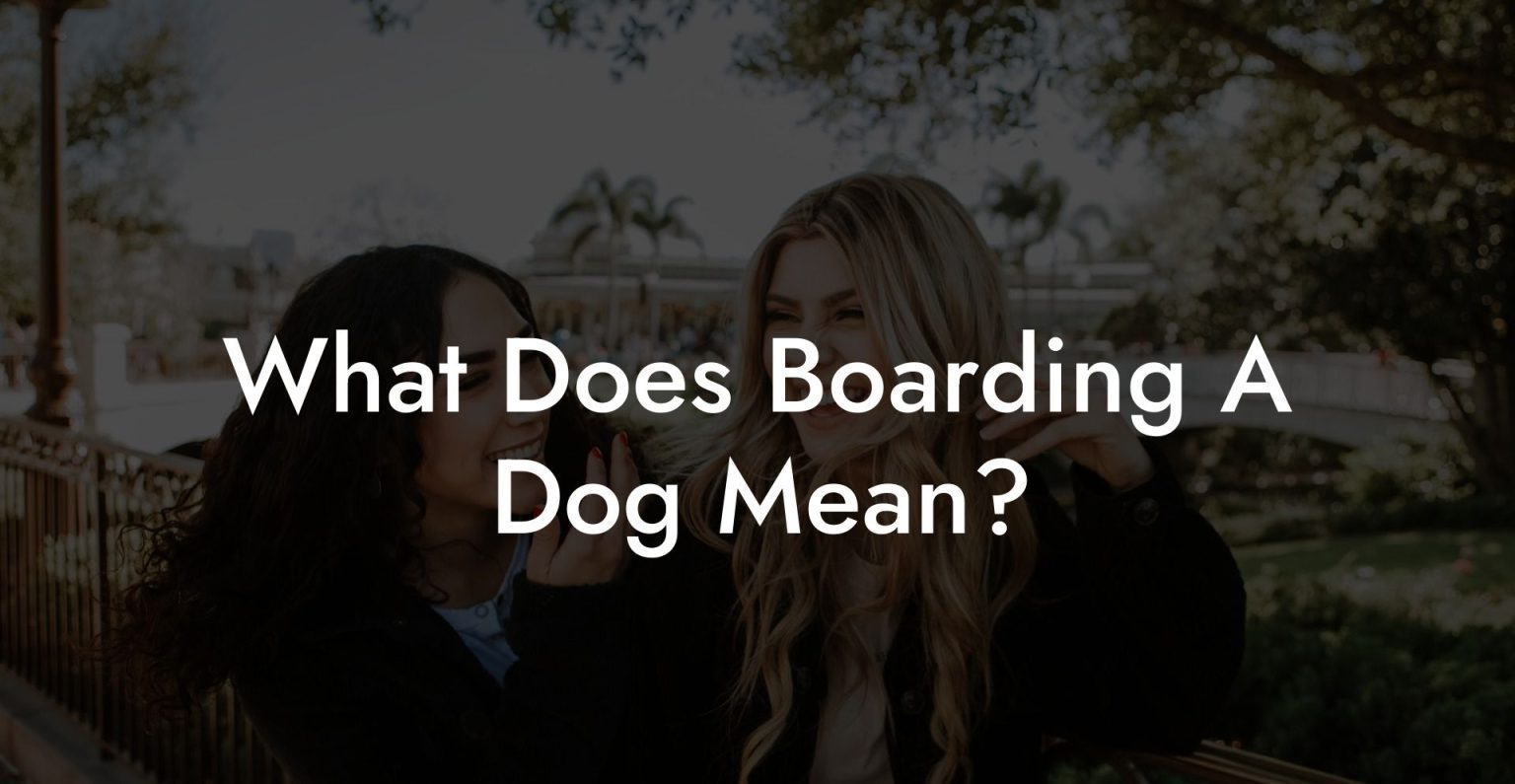 What Does Boarding A Dog Mean? Dog Hotels