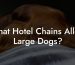 What Hotel Chains Allow Large Dogs?
