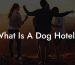 What Is A Dog Hotel?