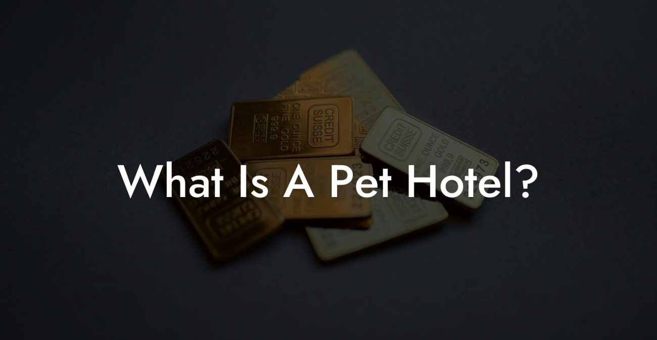 What Is A Pet Hotel?