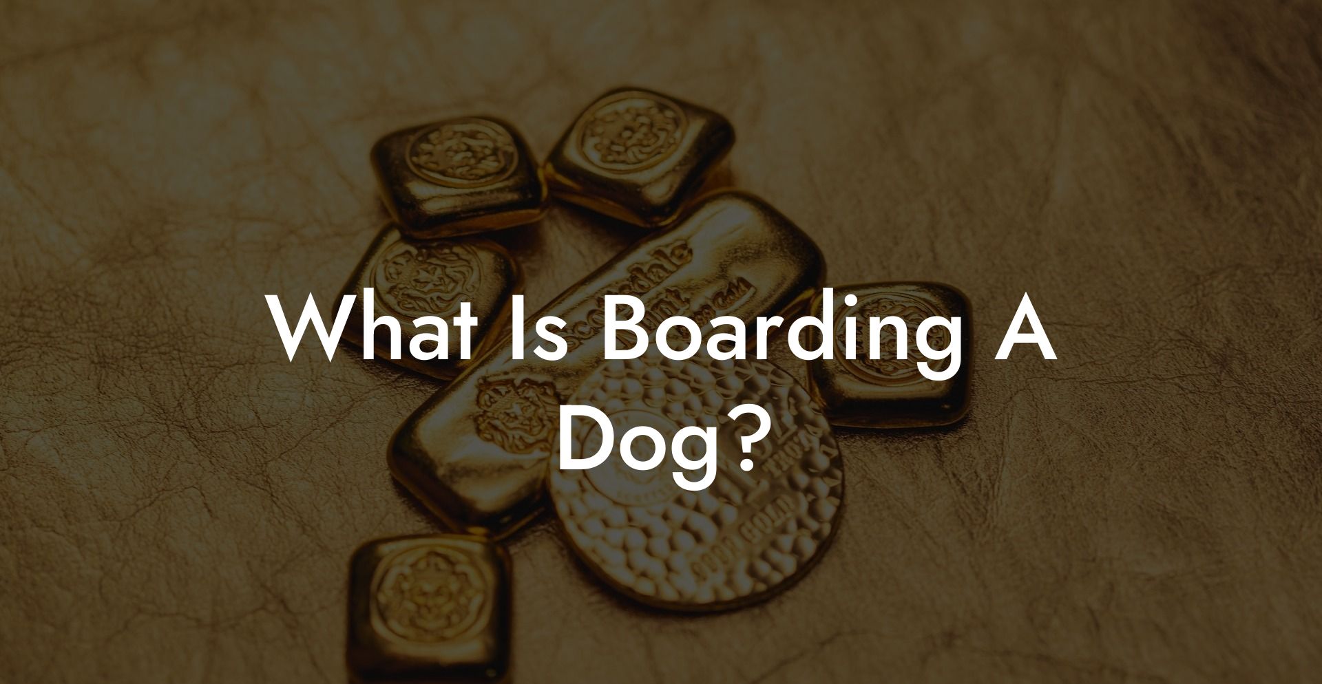 What Is Boarding A Dog?