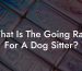 What Is The Going Rate For A Dog Sitter?