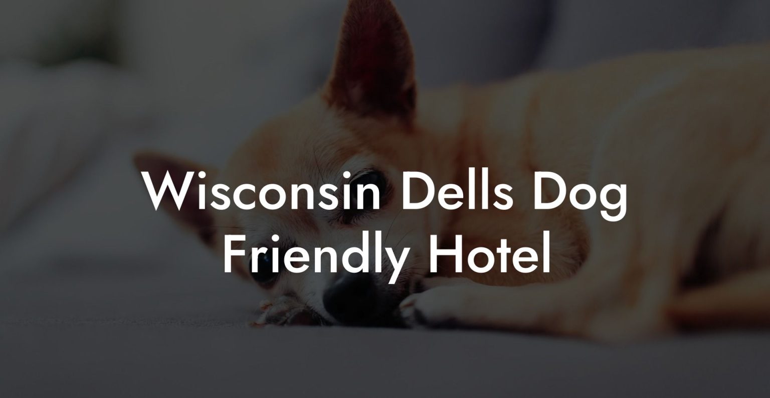 Wisconsin Dells Dog Friendly Hotel Dog Hotels