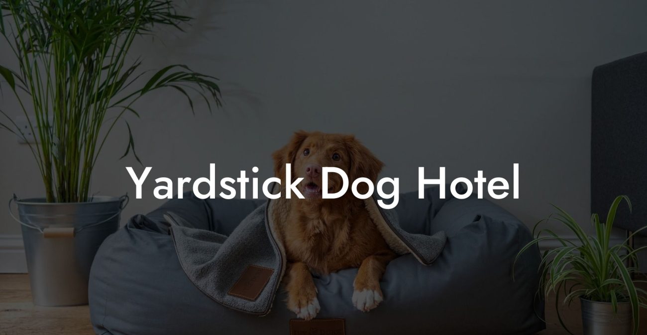 Yardstick Dog Hotel