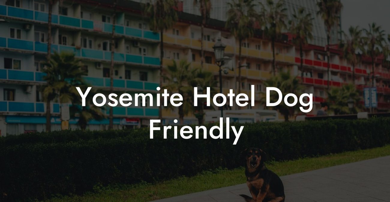 Yosemite Hotel Dog Friendly